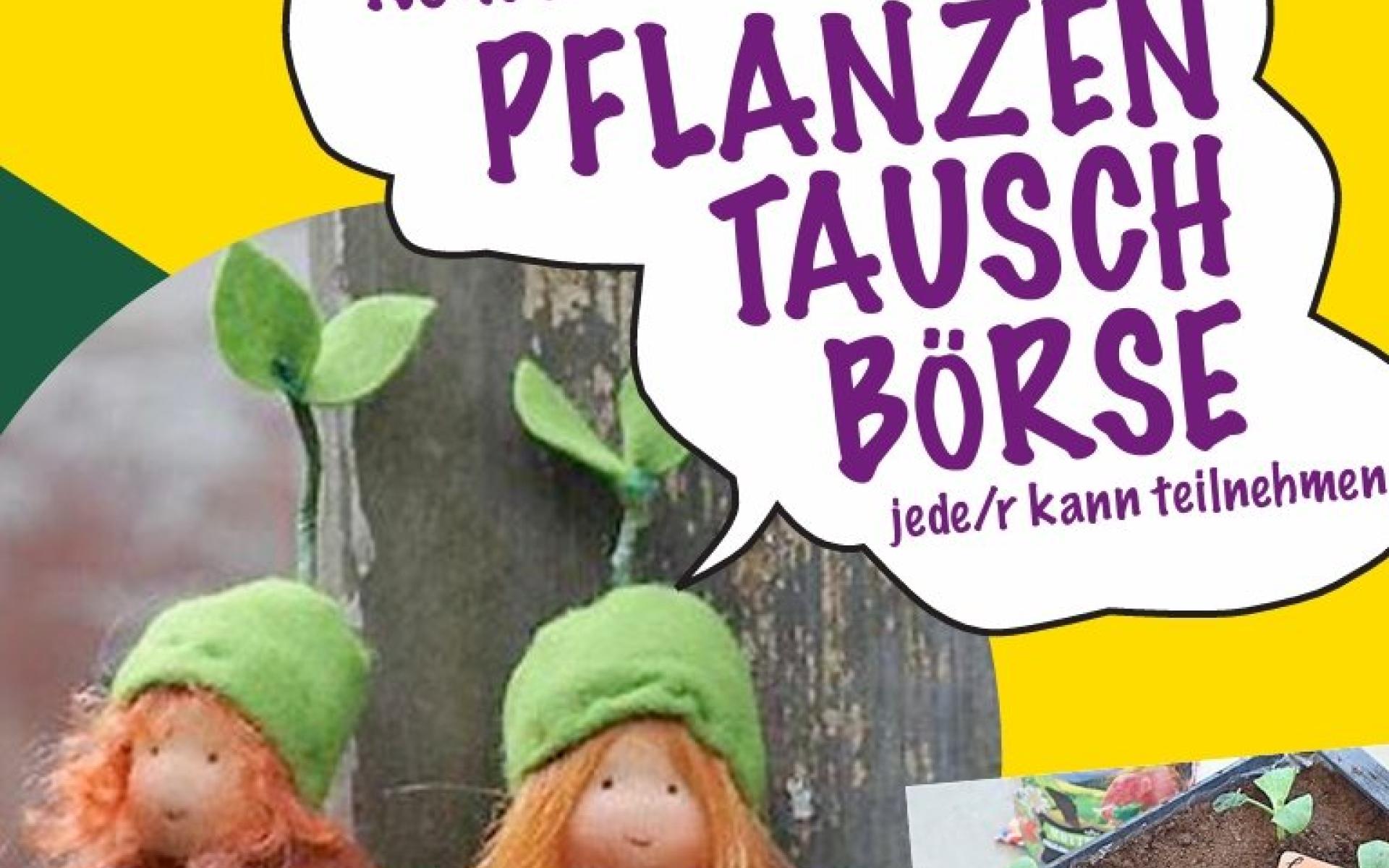 Pflanzentauschbörse